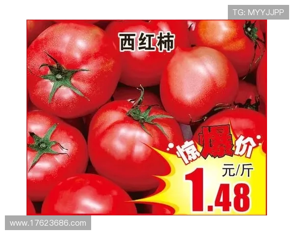 获取ag平台最新优惠活动信息，掌握第一手优惠福利资源