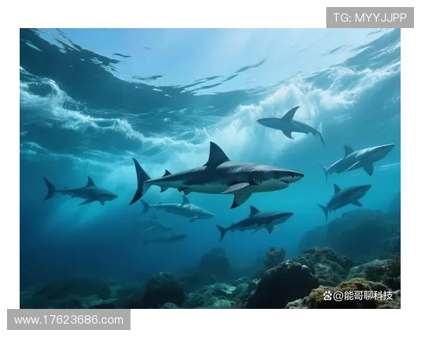 金鲨银鲨:海洋深处的生存之道与巨型鲨鱼的生态习性详解 金鲨银鲨:海洋深处的生存之道与巨型鲨鱼的生态习性详解