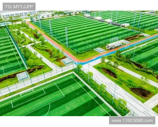 选择凯发体育登录下载的理由,成为体育爱好者的首选