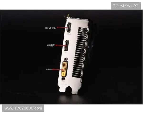 pa电子电脑版下载 pa电子电脑版下载