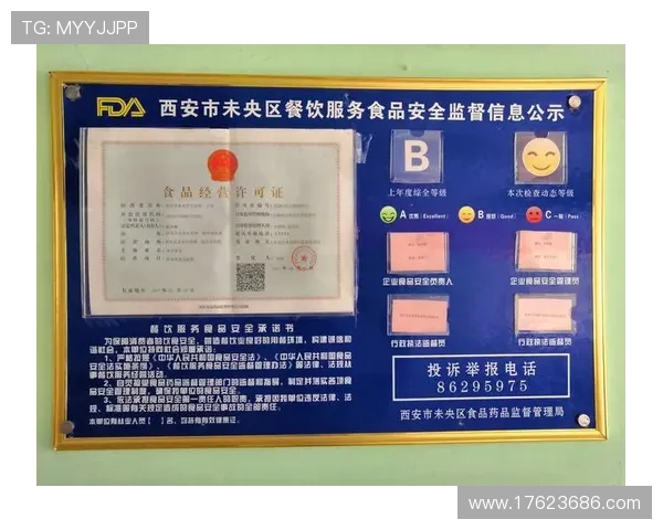 凯发电游游戏安全可靠，保障玩家资金与信息安全的全面解决方案