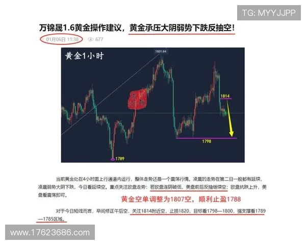 掌握澳门赌场骰宝赔率技巧实现稳健盈利的实用策略分享 掌握澳门赌场骰宝赔率技巧实现稳健盈利的实用策略分享